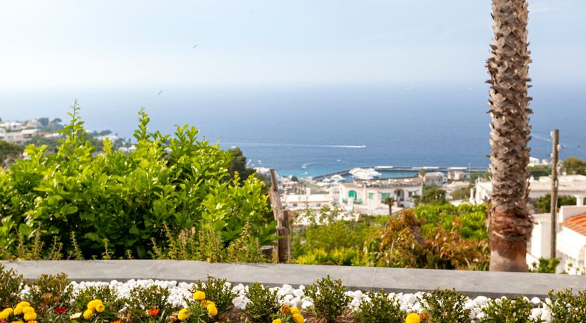 Photo of Emerald Orbit