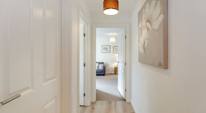 Photo of Perriwinkle