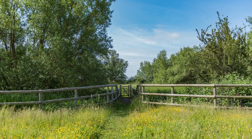 Photo of Wax Lyrical