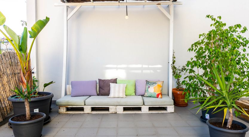 Photo of Juniper & Cream