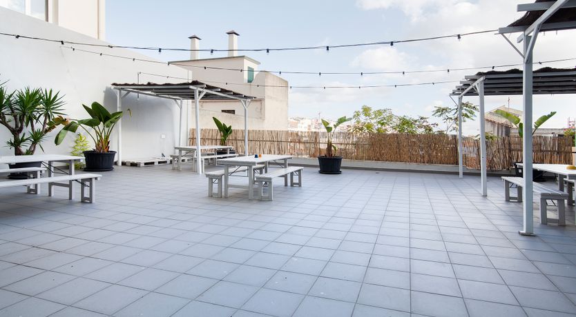 Photo of Juniper & Fern