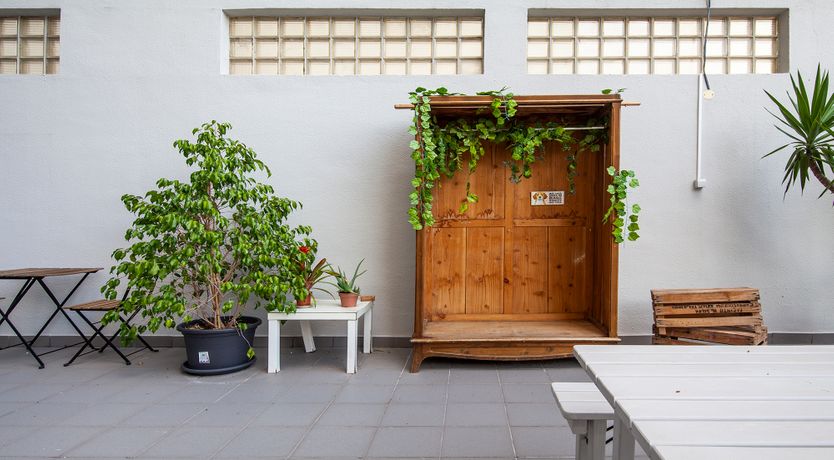 Photo of Juniper & Fern