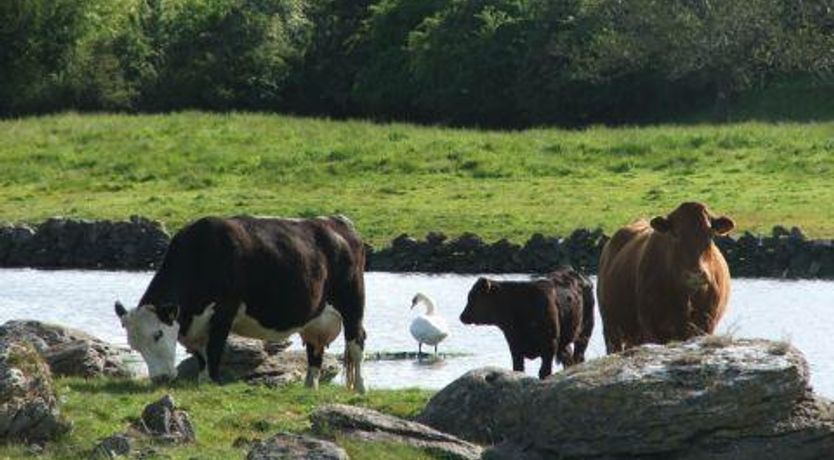 Photo of BARNA GALWAY STUDIO FOR TWO 