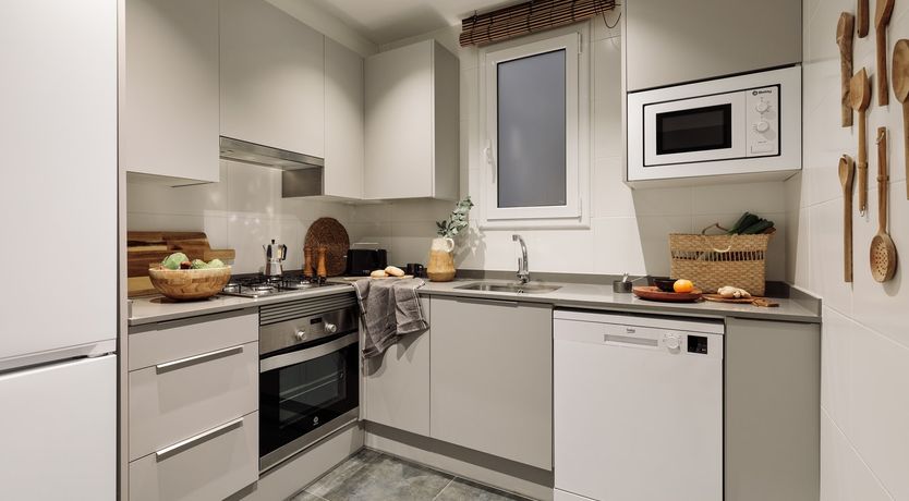 Photo of Miro's Forest