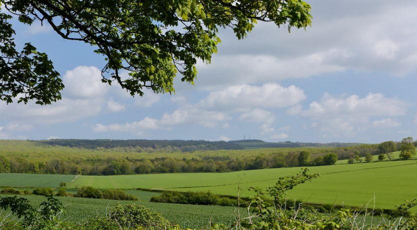 Photo of The Seekers