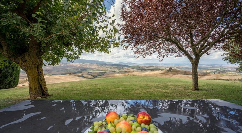 Photo of Wine in the Hills