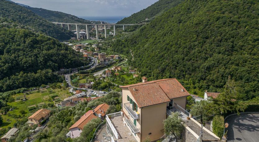 Photo of Belvedere's View