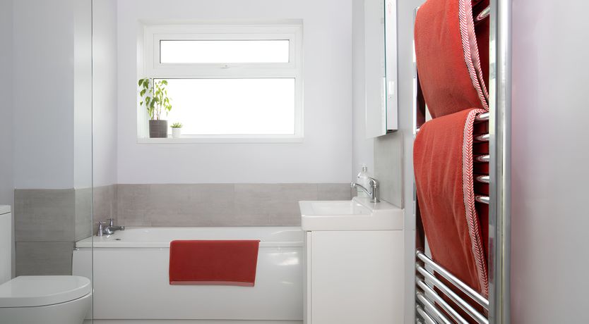 Photo of Sails to the Sea