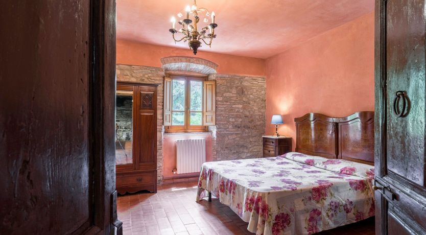 Photo of Mill & Vines