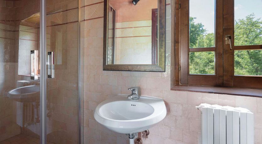 Photo of Mill & Vines