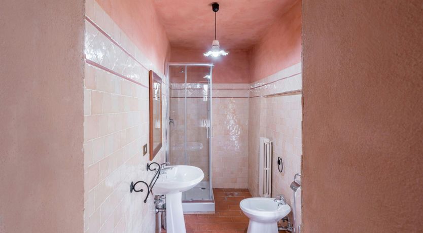 Photo of Mill & Vines