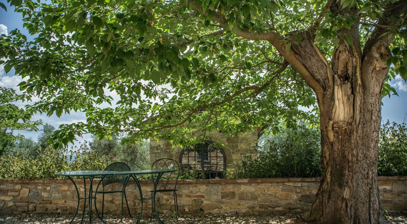 Photo of Mellow in Tuscany