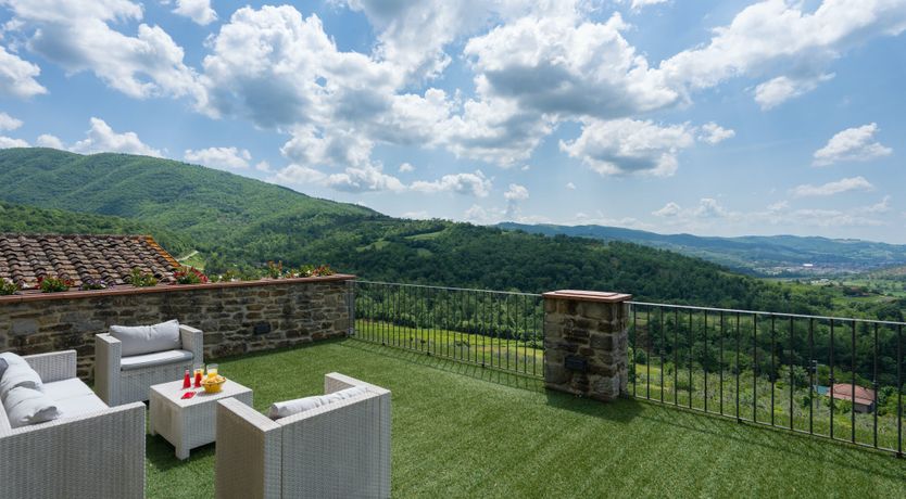 Photo of Olive in Bloom