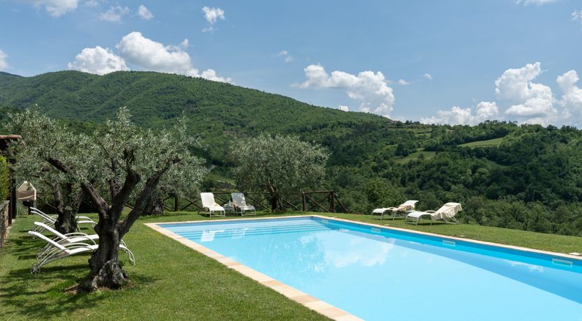 Photo of Olive in Bloom