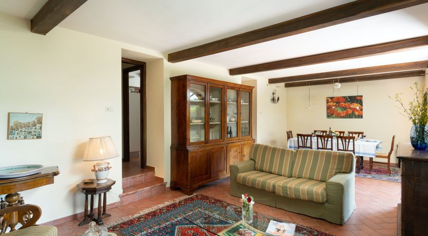 Photo of Olive in Bloom