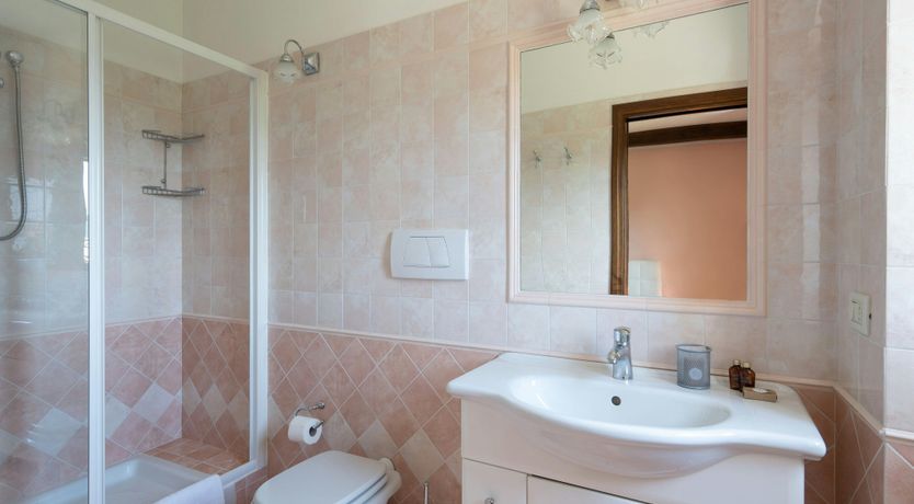 Photo of Olive in Bloom