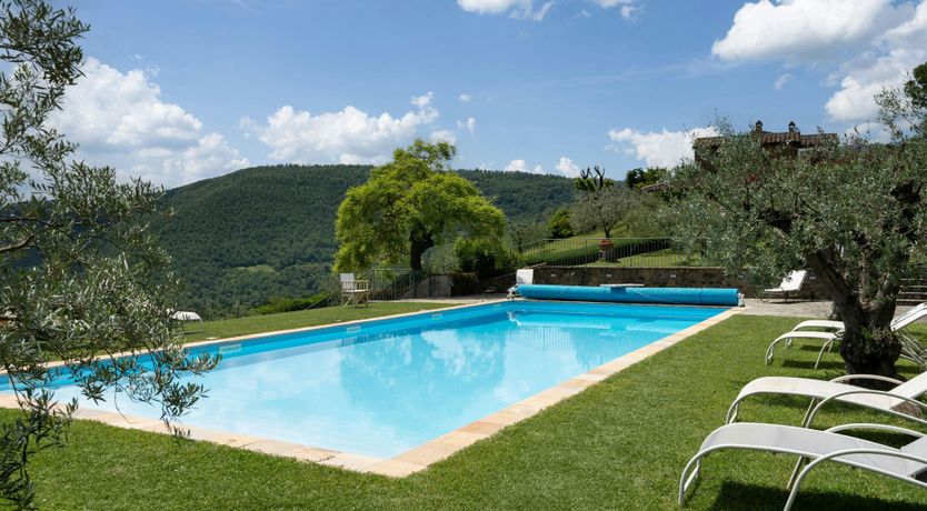 Photo of Olive in Bloom