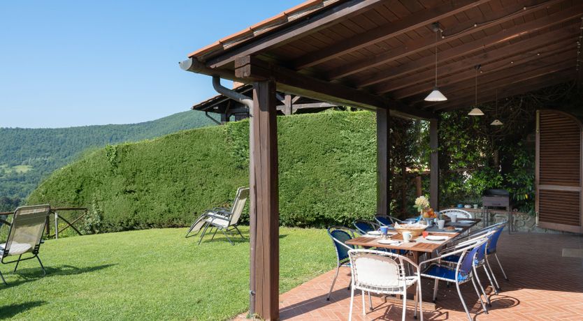 Photo of Olive in Bloom