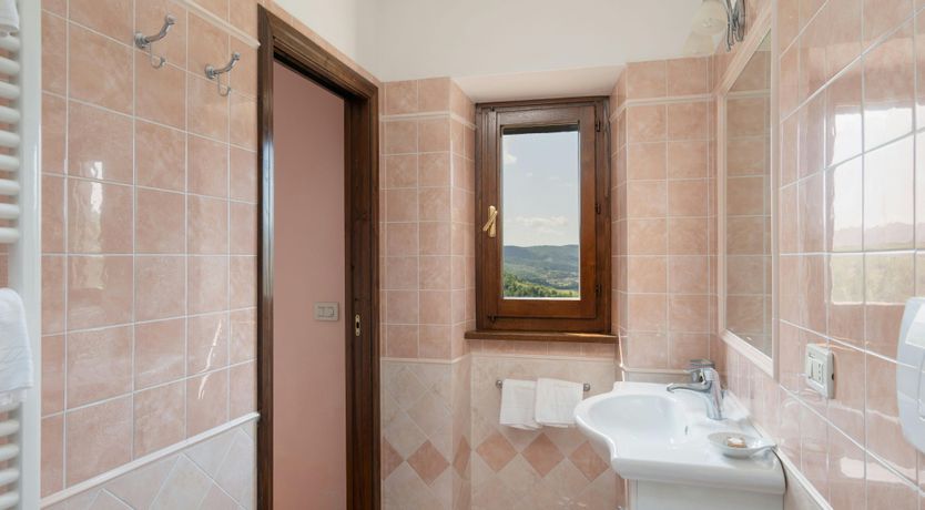 Photo of Olive in Bloom