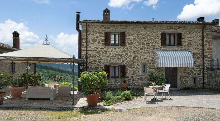 Photo of Olive in Bloom