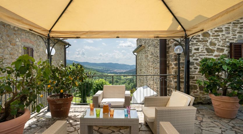 Photo of Olive in Bloom