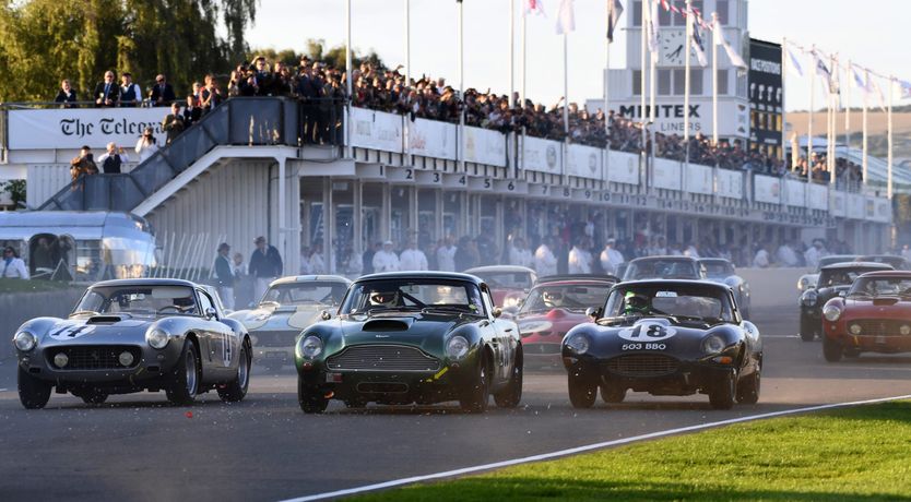 Photo of A Warbler's Call