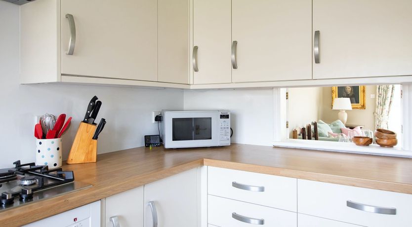 Photo of A Warbler's Call