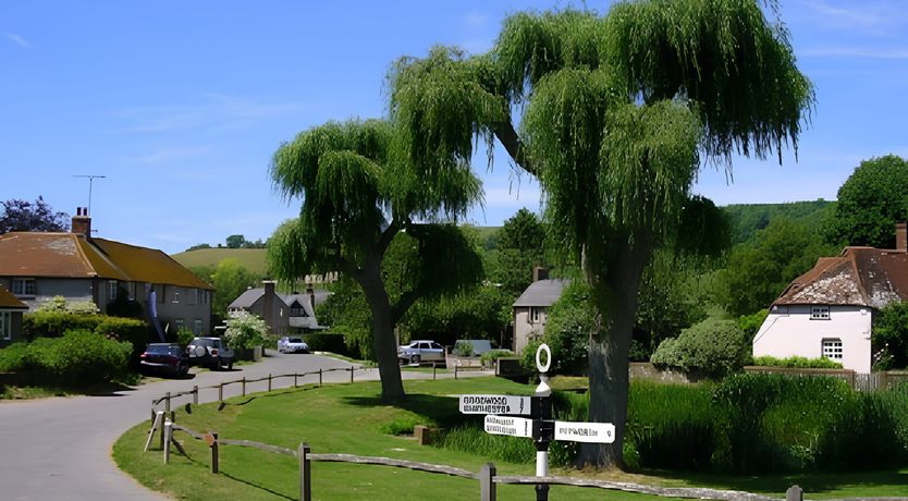 Photo of A Warbler's Call