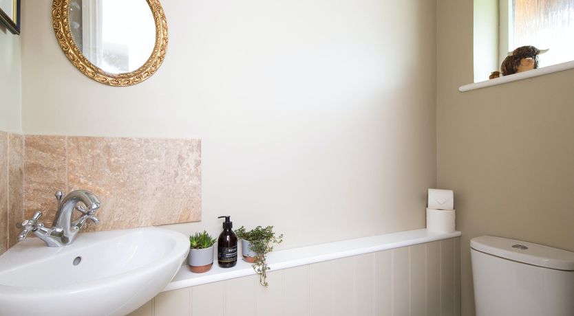 Photo of A Warbler's Call