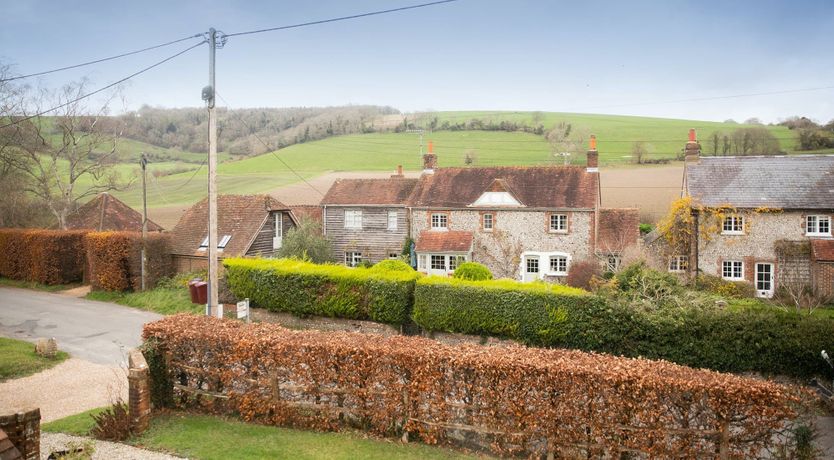 Photo of A Warbler's Call