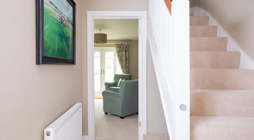 Photo of A Warbler's Call