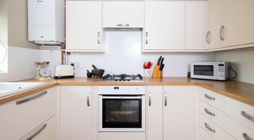 Photo of A Warbler's Call