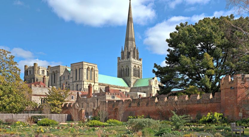 Photo of A Warbler's Call