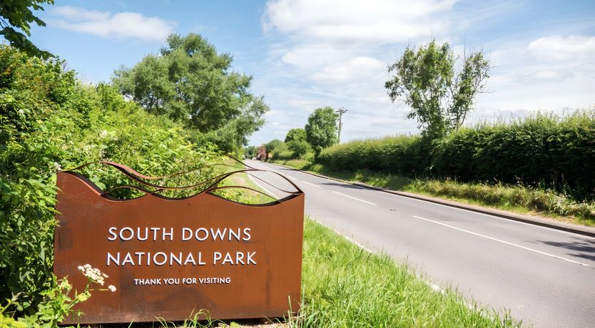 Photo of A Warbler's Call