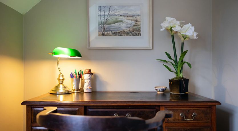 Photo of A Warbler's Call