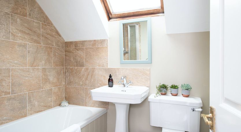 Photo of A Warbler's Call