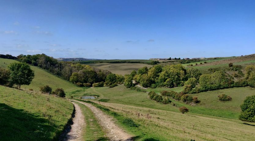 Photo of A Warbler's Call