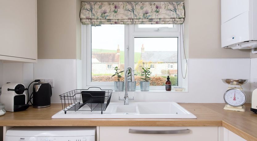 Photo of A Warbler's Call