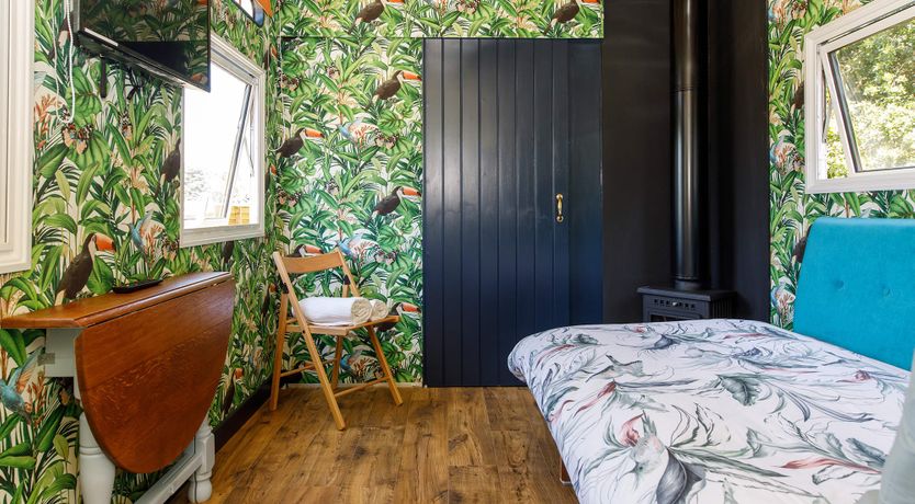 Photo of Welcome To The Show