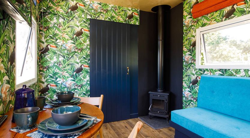 Photo of Welcome To The Show