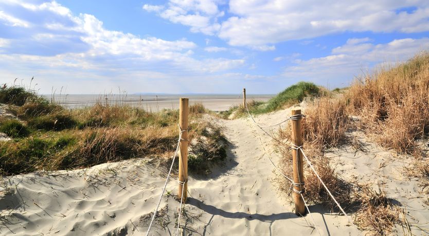 Photo of Welcome To The Show