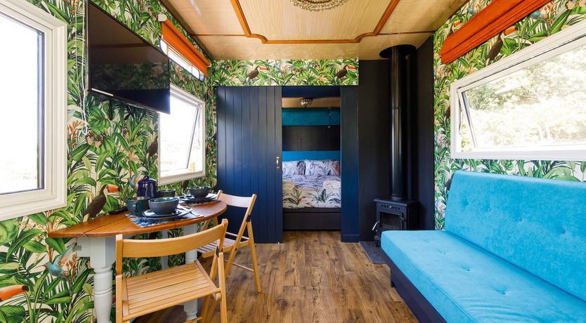 Photo of Welcome To The Show