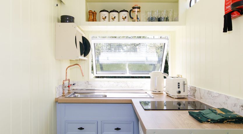 Photo of Welcome To The Show