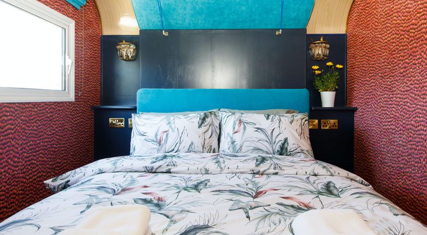 Photo of Welcome To The Show