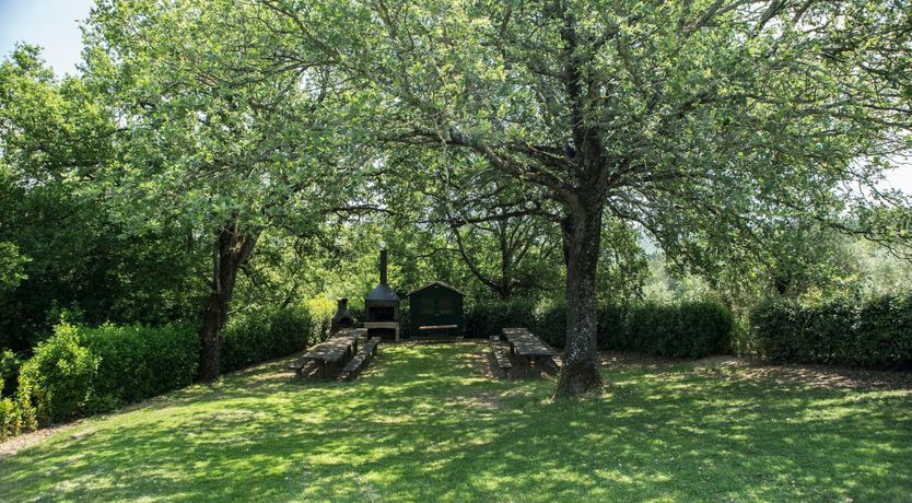 Photo of Gardenia Blossom