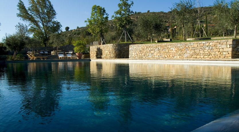 Photo of Golden Silence