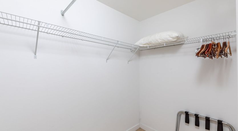 Photo of Dolphin Green