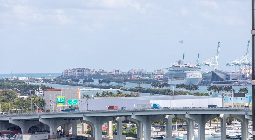 Photo of Dolphin Green