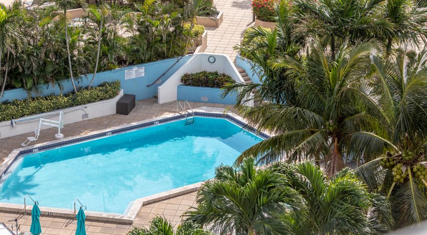 Photo of Dolphin Green