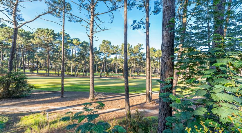 Photo of Modern Soul